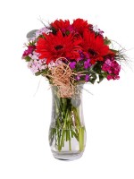 Vazoda Hüsnüyusuf Kırmızı Gerbera