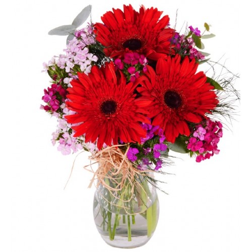 Vazoda Hüsnüyusuf Kırmızı Gerbera