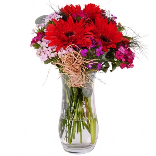 Vazoda Hüsnüyusuf Kırmızı Gerbera