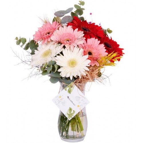 Renkli Gerbera Vazosu