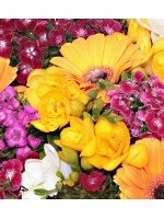 Vazoda Mevsim Çiçekleri