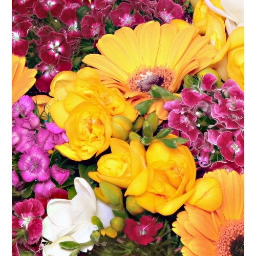 Vazoda Mevsim Çiçekleri