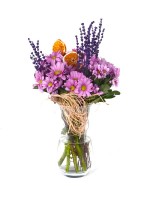 Pembe Taze Papatyalar