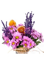 Pembe Taze Papatyalar