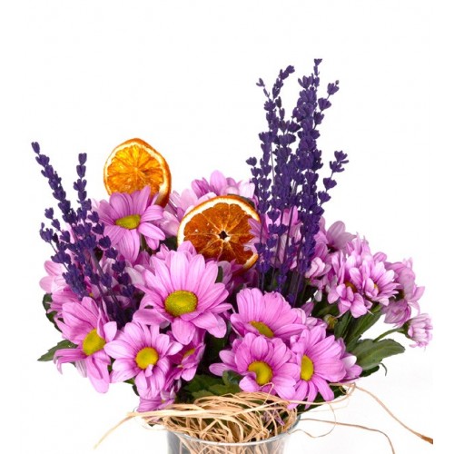 Pembe Taze Papatyalar