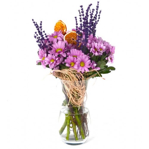 Pembe Taze Papatyalar