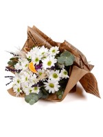 Sensiz Olmaz Papatyalar